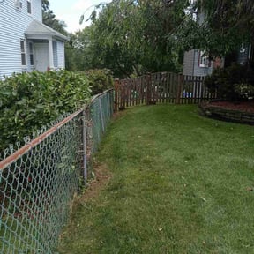 Bush Trimming by Mowing on reviewed on May 12, 2022