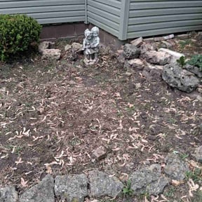 Weeding by The Mowing Bro's LLC reviewed on October 27, 2021