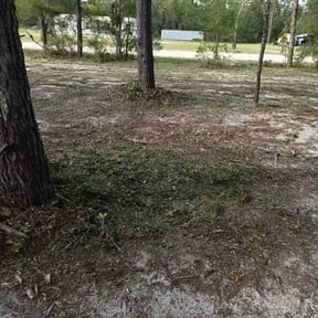 Cleanups by Primos  Grow&amp;Mow reviewed on November 16, 2024