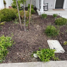 Landscaping by Mow it & Blow it reviewed on September 14, 2024