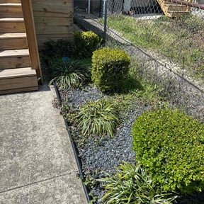 Weeding by Texas Best Lawn and Farm reviewed on August 2, 2022