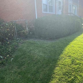 Bush Trimming by Totally Outdoors reviewed on October 26, 2022