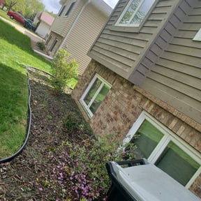 Bush Trimming by Frederickson Lawn Management reviewed on June 17, 2022