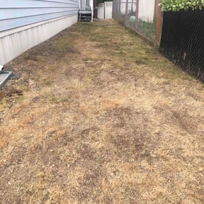 Weeding by Vertical Lawn Care reviewed on December 10, 2024
