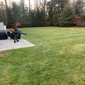 Leaf Removal by K2 landscape and maintenance reviewed on July 9, 2022