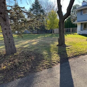 Cleanups by Arely's All Construction LLC reviewed on May 5, 2022
