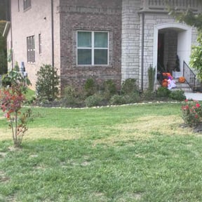 Bush Trimming by Mlt lawns LLC reviewed on August 4, 2025