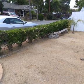 Landscaping by EQ’s Lawn Solutions reviewed on August 1, 2022