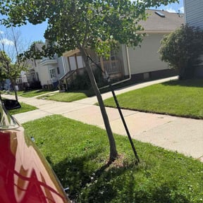 Leaf Removal by CJ's Home and Lawn Solutions reviewed on December 4, 2021