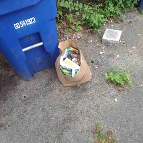 Cleanups by Diego Mojica Lawn Care reviewed on April 7, 2022