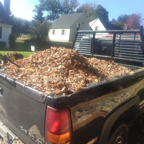 Leaf Removal by River city Properties and Investments reviewed on July 8, 2022