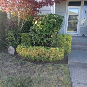 Bush Trimming by GetYarded reviewed on July 21, 2022
