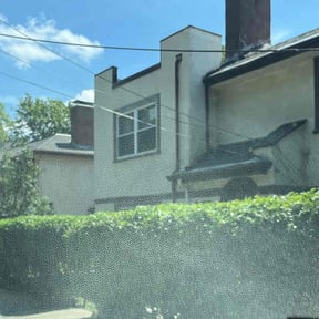 Bush Trimming by Home solution reviewed on June 14, 2022