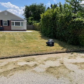 Bush Trimming by Tru reviewed on July 17, 2022