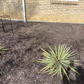 Flower Bed Weeding by Precision Lawn Care of VA reviewed on May 4, 2022