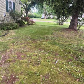 Cleanups by Smith's Services reviewed on August 9, 2022