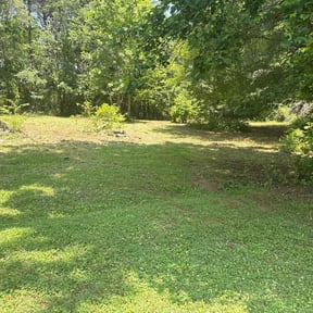 Weeding by 12306 Buxton Dr Pineville Nc 28134 reviewed on December 6, 2024