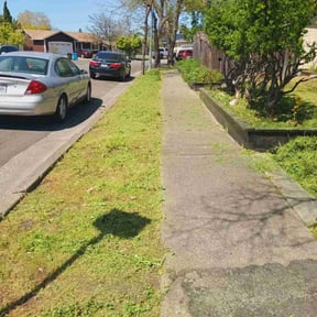 Cleanups by Jeff's Lawn service reviewed on May 19, 2022