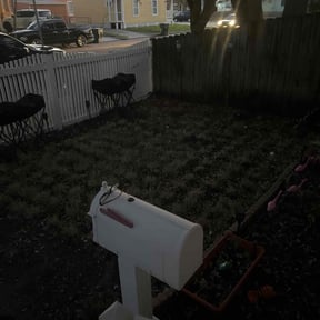 Leaf Removal by Pro Green Landscape L L C reviewed on September 30, 2021