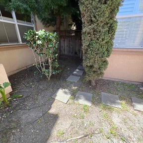 Bush Trimming by Hauling &amp; Lawn Bros reviewed on April 15, 2025