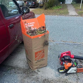 Leaf Removal by NEW CREATION LAWN PROFESSIONALS reviewed on April 13, 2022