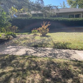 Leaf Removal by Ndebay Landscapping reviewed on August 16, 2021