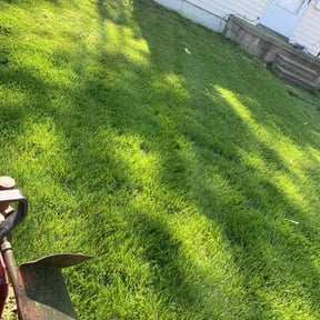 Cleanups by RJ's Lawn Care reviewed on May 22, 2022