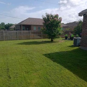 Bush Trimming by Amie's Clean Cut Lawns and More reviewed on June 1, 2022