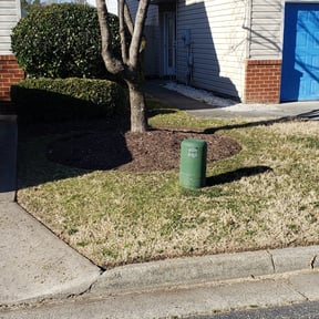 Bush Trimming by Mow-Mentous Lawn Service reviewed on July 9, 2025