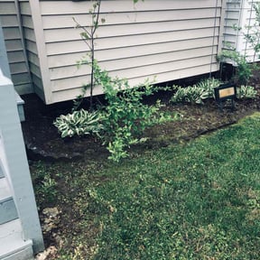 Flower Bed Weeding by Sharpening landscaping llc reviewed on April 19, 2022