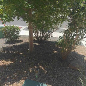Bush Trimming by Riverview Lawn Care reviewed on October 30, 2023