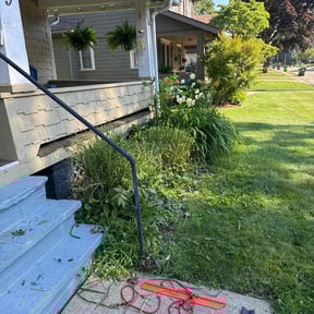 Bush Trimming by Roccos Lawn Care reviewed on July 25, 2025