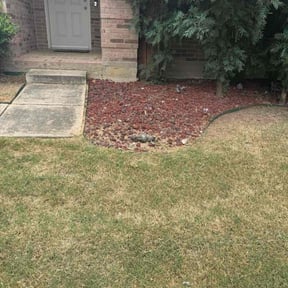 Flower Bed Weeding by Double F Lawns reviewed on July 1, 2022