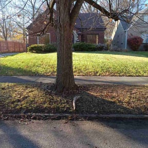 Leaf Removal by J&B Home Improvements reviewed on August 23, 2024