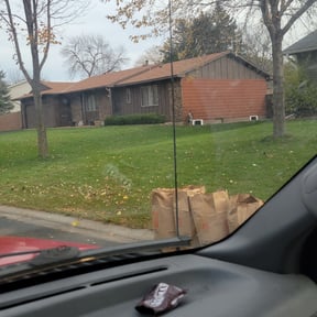 Leaf Removal by Premier lawn solutions reviewed on July 27, 2025