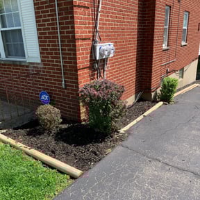 Bush Trimming by Holloway Boys Lawn maintenance reviewed on October 20, 2022