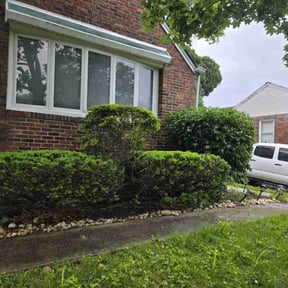 Leaf Removal by Diego Mojica Lawn Care reviewed on January 3, 2022