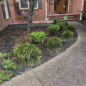 Bush Trimming by Three brothers lawn care reviewed on August 24, 2024
