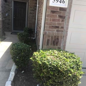 Bush Trimming by Alexito Landscaping reviewed on April 14, 2025