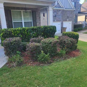 Bush Trimming by Pure Scapes Solutions LLC reviewed on July 6, 2025