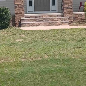 Bush Trimming by D. Nelsons Lawn Care, LLC reviewed on April 27, 2022