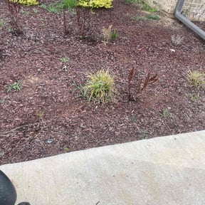 Flower Bed Weeding by K&G Lawn and Garden Services reviewed on October 5, 2024