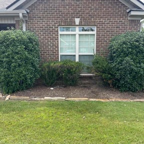 Weeding by Landscape Groomers,LLC reviewed on January 8, 2025