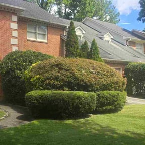 Bush Trimming by Green Oasis Lawn Care reviewed on October 4, 2023