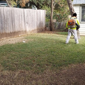 Leaf Removal by Ledezma reviewed on December 20, 2024