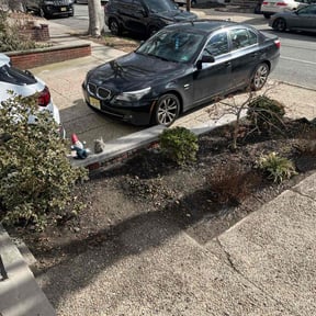 Bush Trimming by Caesar’s Premier Landscaping reviewed on April 21, 2022