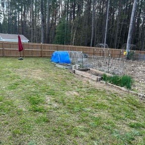 Cleanups by Electric Cut Lawn Care LLC reviewed on December 20, 2024