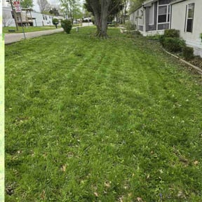 Bush Trimming by Major cleaning inc reviewed on June 24, 2022