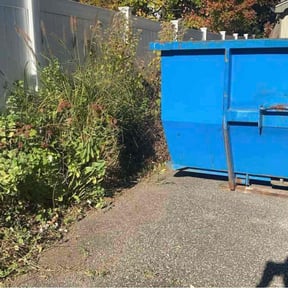Bush Trimming by Frazier Lawncare Service reviewed on June 7, 2022