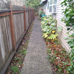 Leaf Removal by Lawns by Lopez reviewed on February 21, 2025